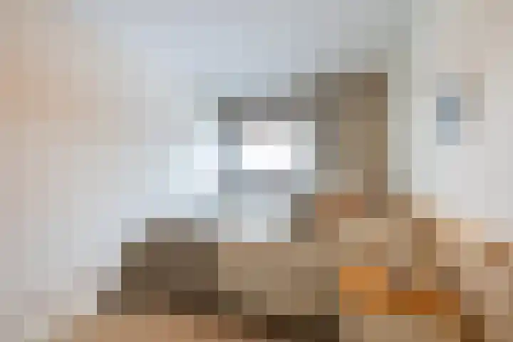 De Boeg 74 Zaandam thumbnail 24