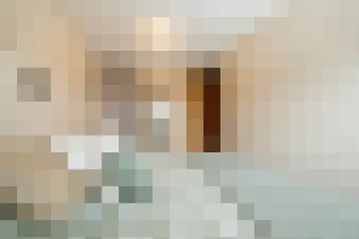 De Boeg 74 Zaandam thumbnail 25