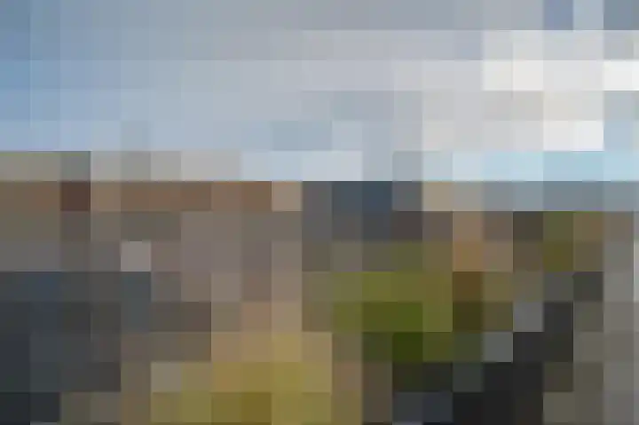 De Boei 10 Emmeloord thumbnail 26