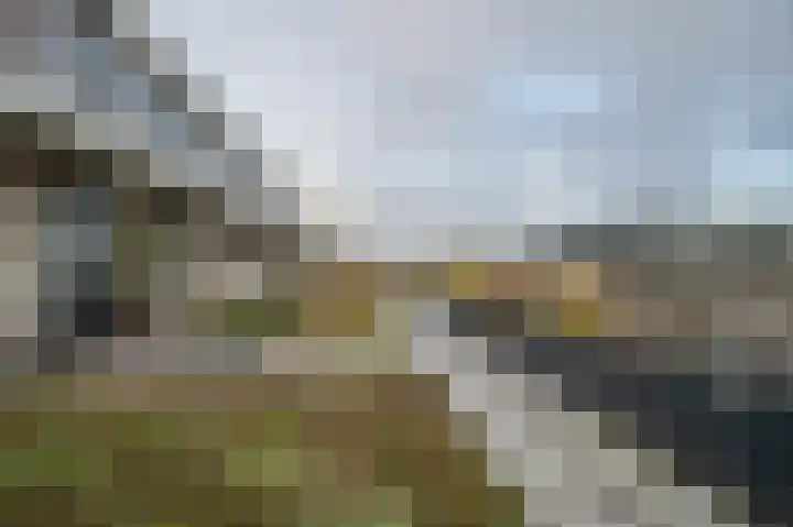 De Boei 10 Emmeloord thumbnail 29