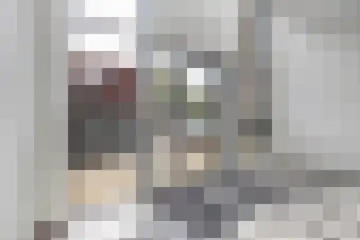 De Boei 11 Emmeloord thumbnail 15