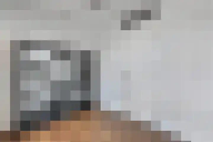 De Boei 11 Emmeloord thumbnail 39