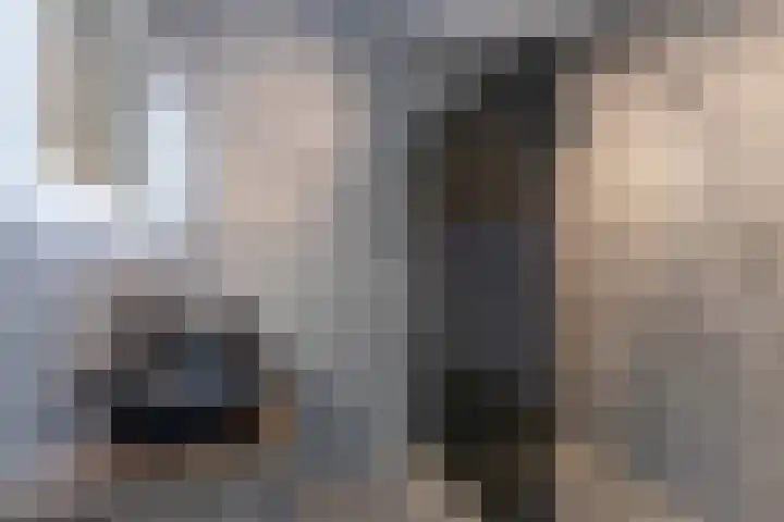 De Boei 11 Emmeloord thumbnail 40