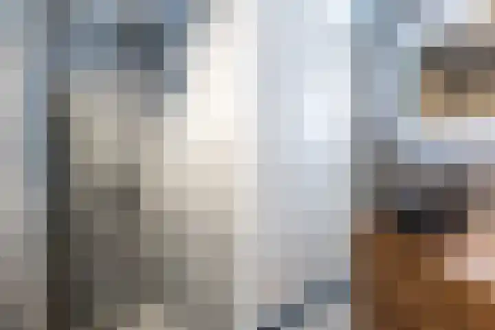 De Boei 11 Emmeloord thumbnail 42