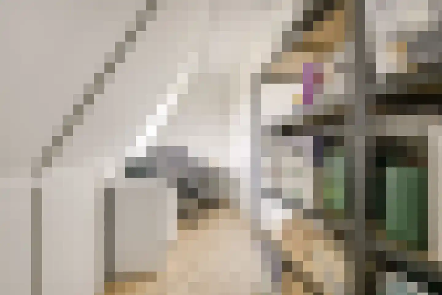 De Boei 13 Emmeloord thumbnail 12