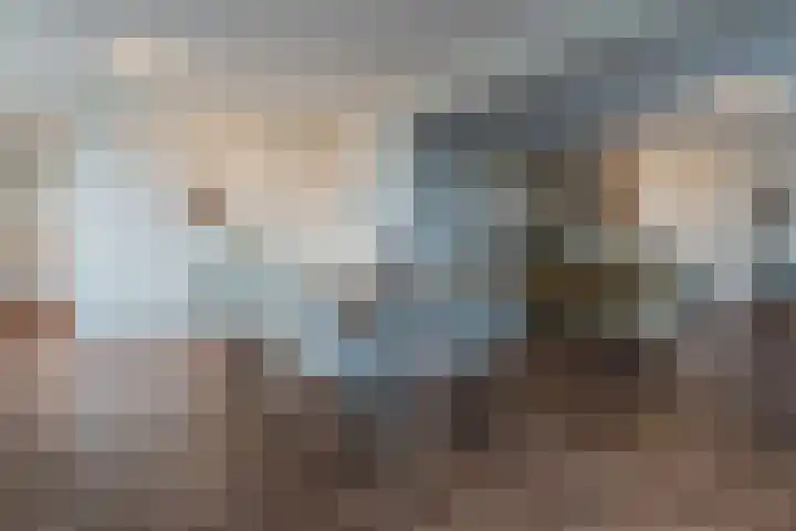 De Boei 13 Emmeloord thumbnail 24