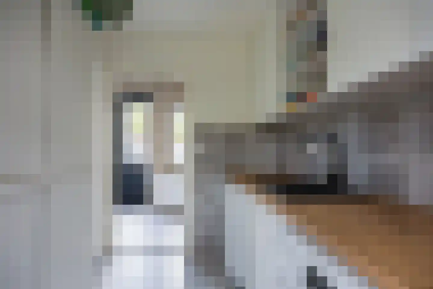 De Boei 13 Emmeloord thumbnail 39