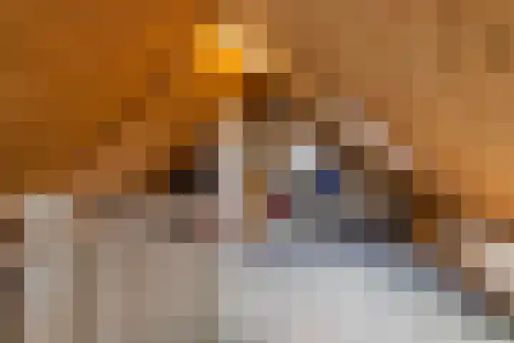De Boei 17 Apeldoorn thumbnail 24