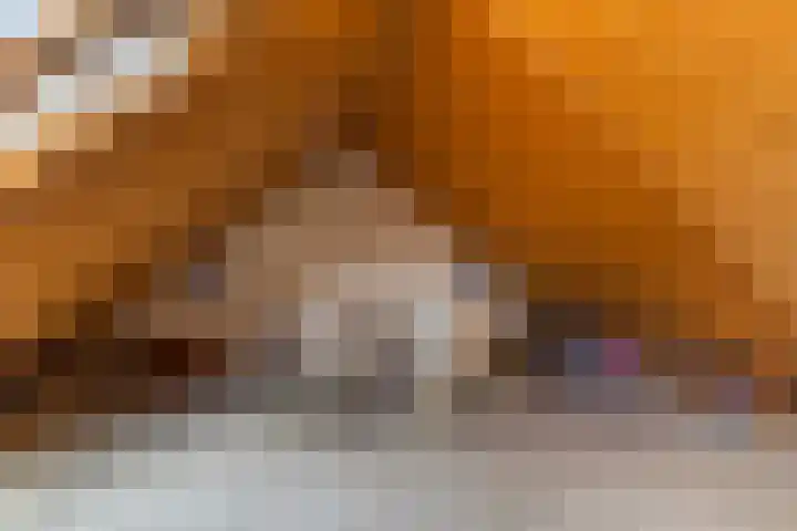 De Boei 17 Apeldoorn thumbnail 25
