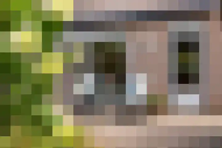 De Boei 17 Apeldoorn thumbnail 27