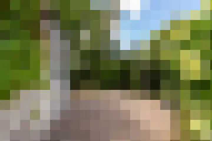 De Boei 17 Apeldoorn thumbnail 28