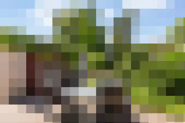 De Boei 17 Apeldoorn thumbnail 29
