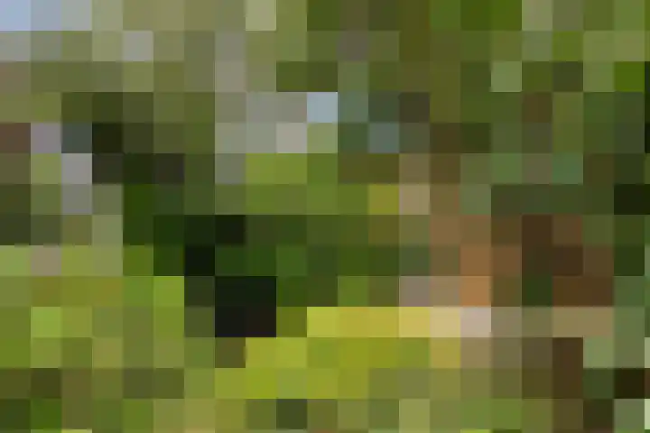 De Boei 17 Apeldoorn thumbnail 30