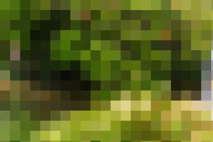 De Boei 17 Apeldoorn thumbnail 31
