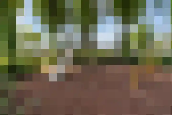 De Boei 17 Apeldoorn thumbnail 32