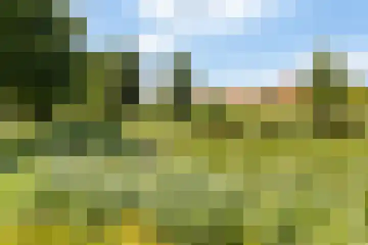 De Boei 17 Apeldoorn thumbnail 33