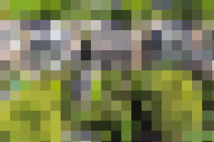 De Boei 17 Apeldoorn thumbnail 34