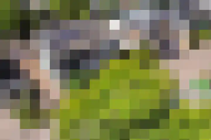 De Boei 17 Apeldoorn thumbnail 35