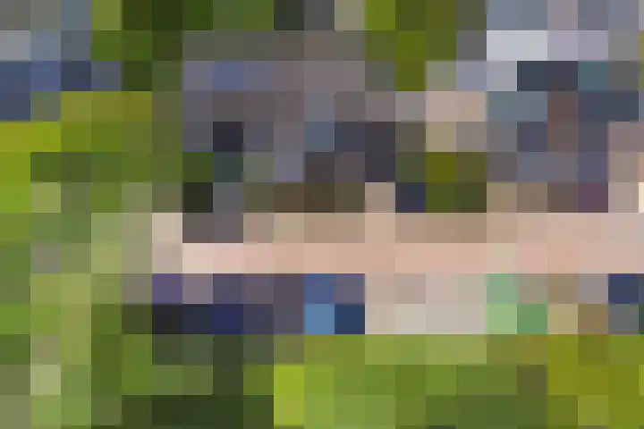 De Boei 17 Apeldoorn thumbnail 37