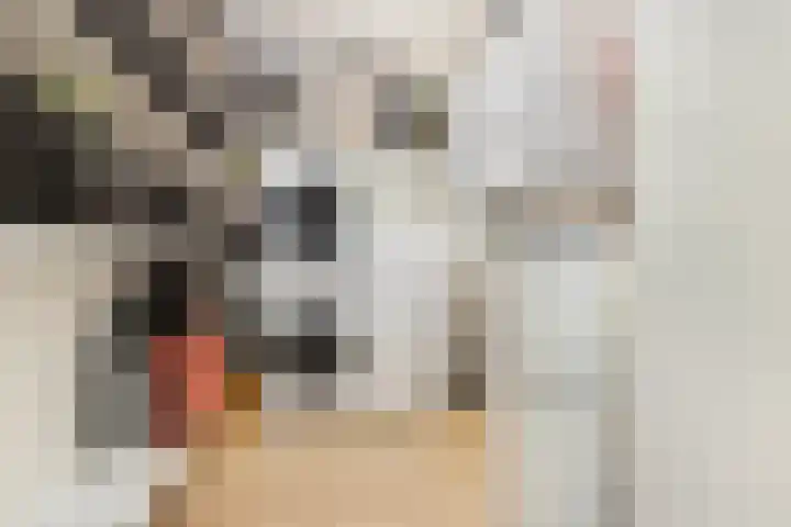 De Boei 17 Emmeloord thumbnail 18