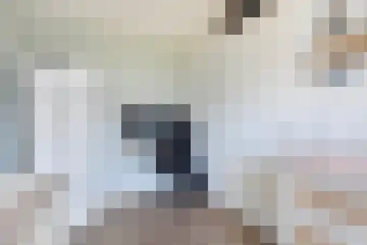 De Boei 17 Emmeloord thumbnail 21