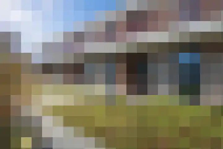 De Boei 17 Emmeloord thumbnail 29