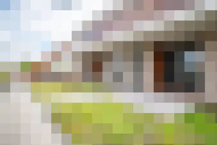 De Boei 18 Emmeloord thumbnail 31