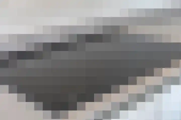 De Boei 24 Emmeloord thumbnail 16