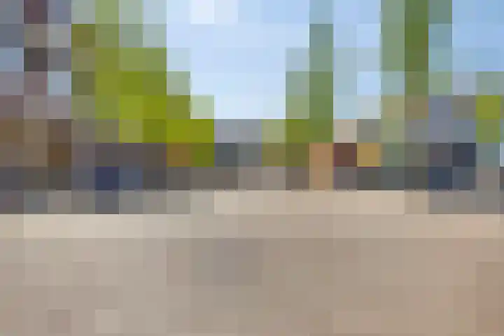 De Boei 24 Emmeloord thumbnail 31