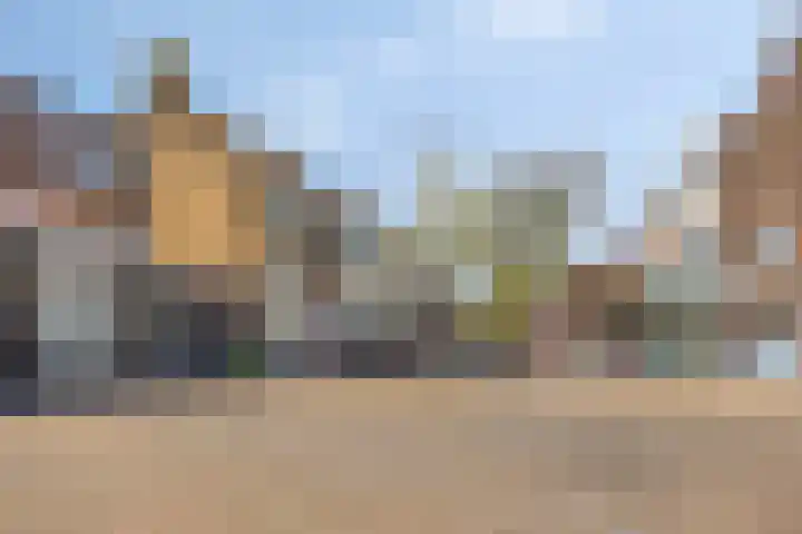 De Boei 24 Emmeloord thumbnail 35