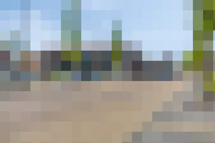 De Boei 24 Emmeloord thumbnail 37