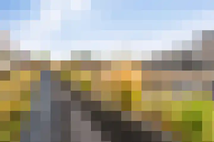De Boei 6 Emmeloord thumbnail 10