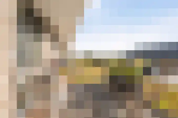De Boei 6 Emmeloord thumbnail 13