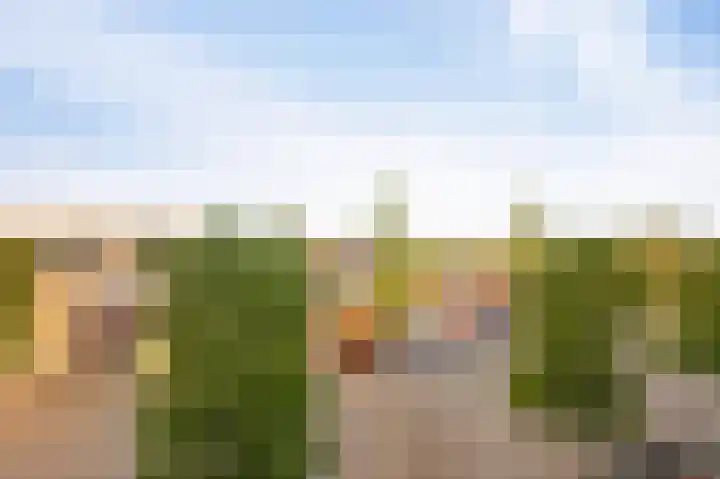 De Boei 6 Emmeloord thumbnail 26