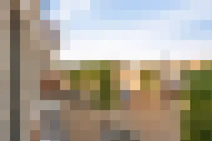 De Boei 6 Emmeloord thumbnail 27
