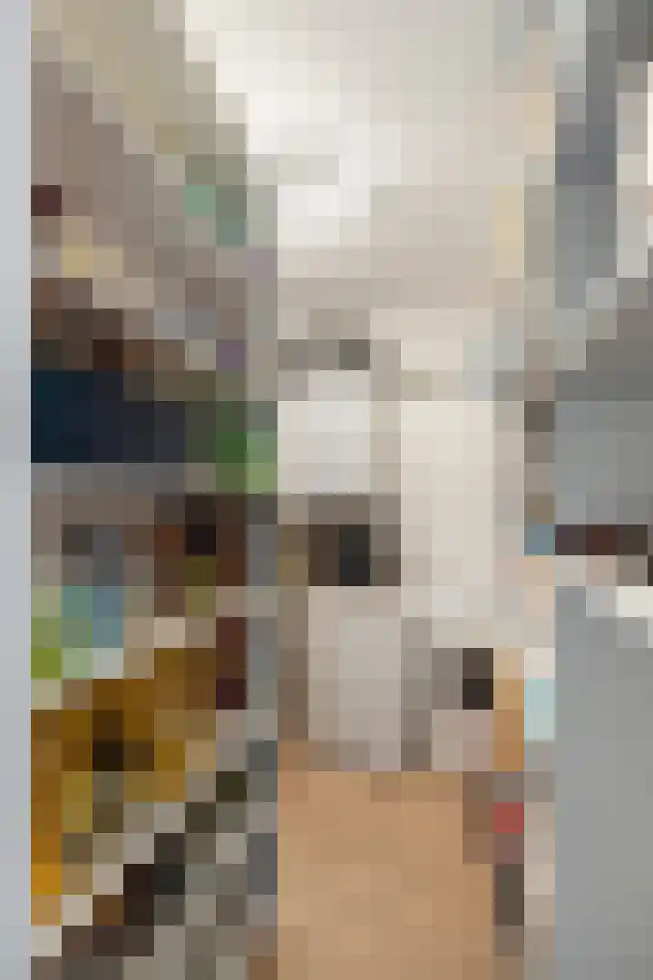 De Boei 6 Emmeloord thumbnail 38