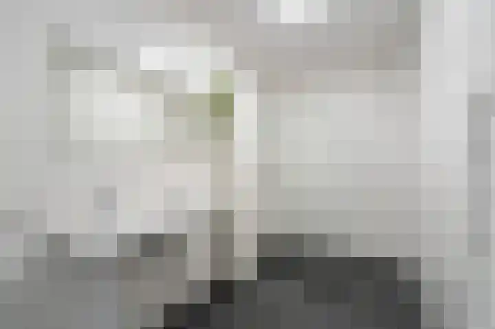 De Boei 6 Emmeloord thumbnail 41
