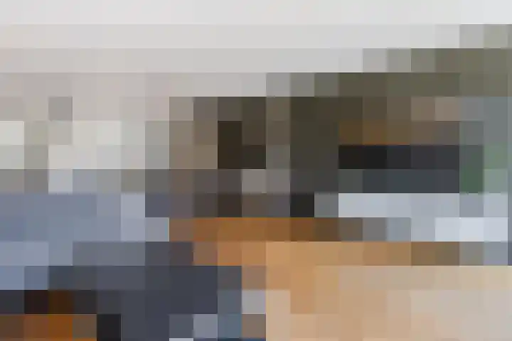 De Boeier 10 Hoogeveen thumbnail 11
