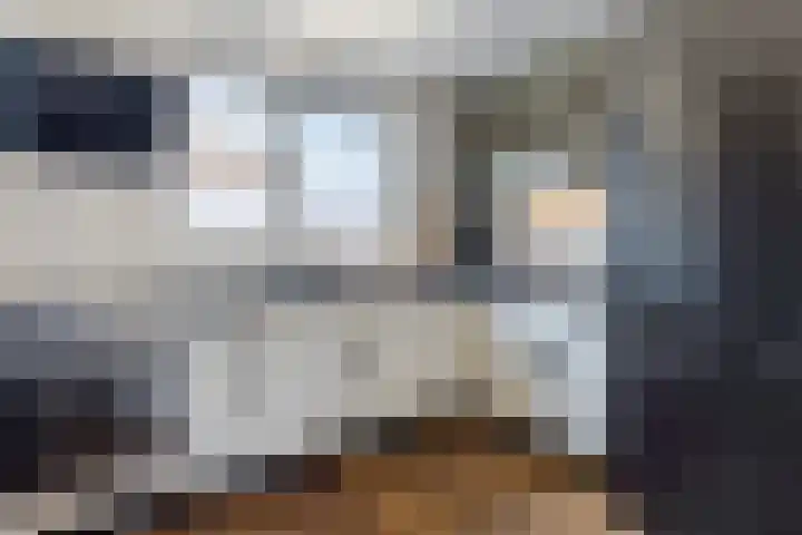 De Boeier 10 Hoogeveen thumbnail 13