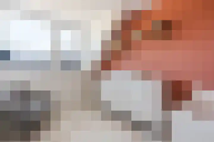De Boeier 10 Hoogeveen thumbnail 23