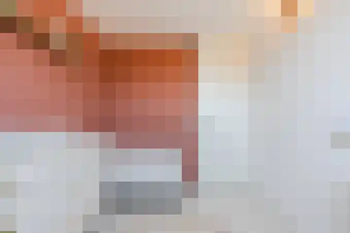De Boeier 10 Hoogeveen thumbnail 25