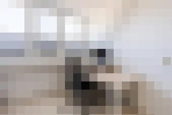 De Boeier 10 Hoogeveen thumbnail 27