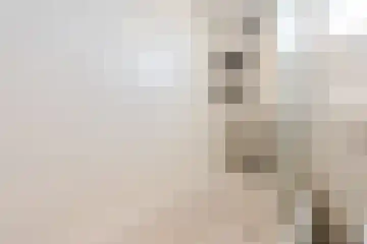 De Boeier 10 Hoogeveen thumbnail 30