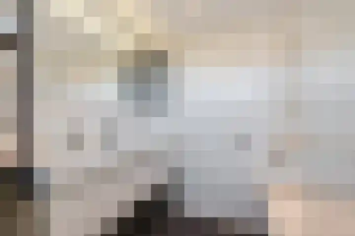 De Boeier 10 Hoogeveen thumbnail 31