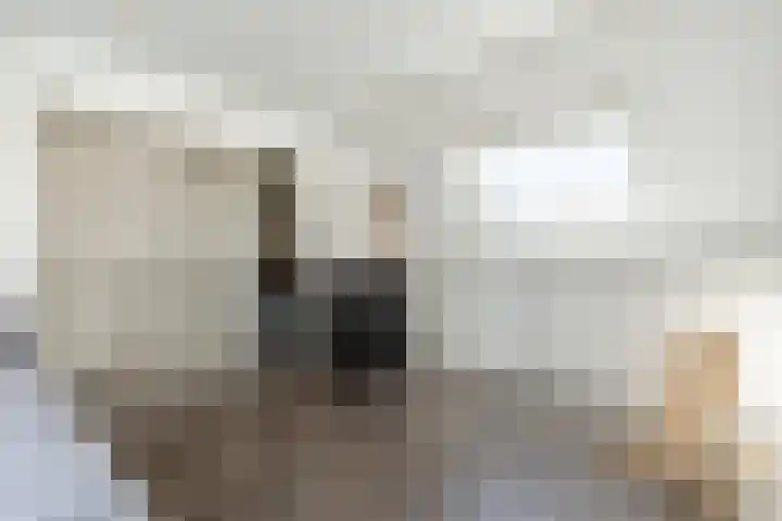 De Boeier 10 Hoogeveen thumbnail 37