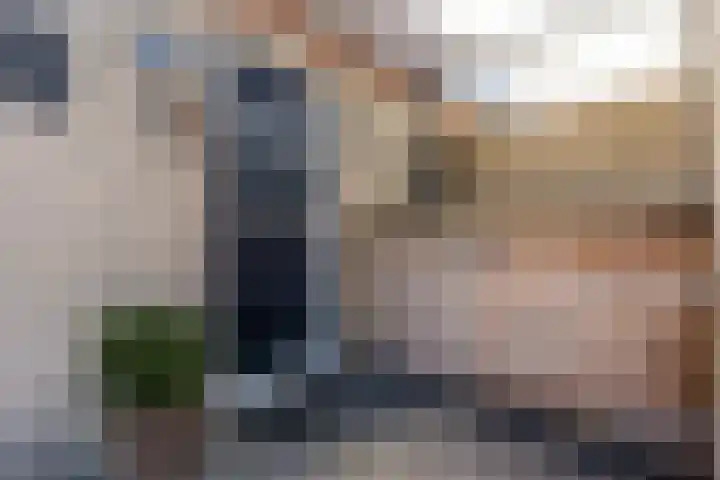 De Boeier 10 Hoogeveen thumbnail 4