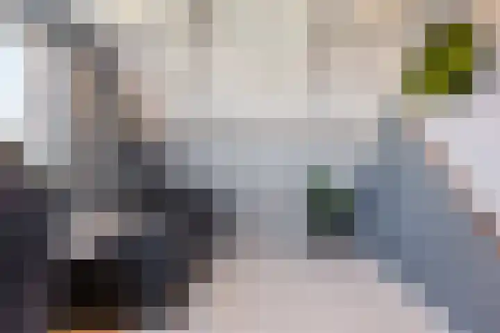 De Boeier 10 Hoogeveen thumbnail 44