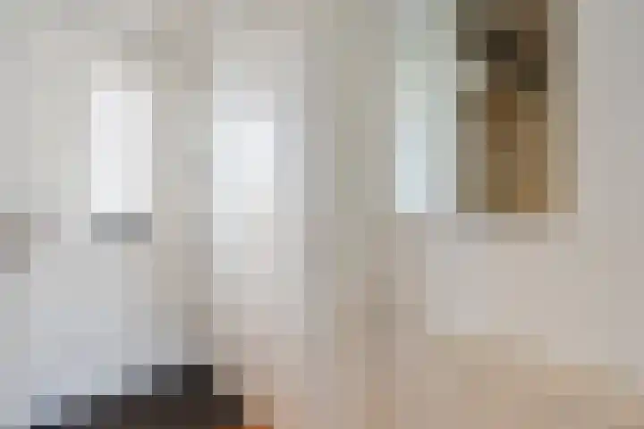 De Boeier 10 Hoogeveen thumbnail 5