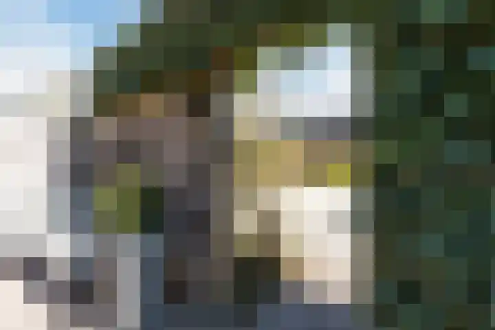 De Boeier 10 Hoogeveen thumbnail 51