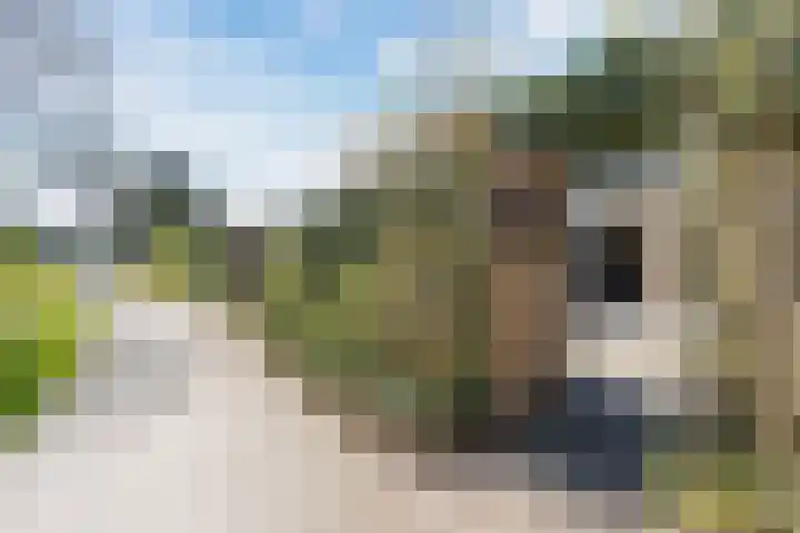 De Boeier 10 Hoogeveen thumbnail 52